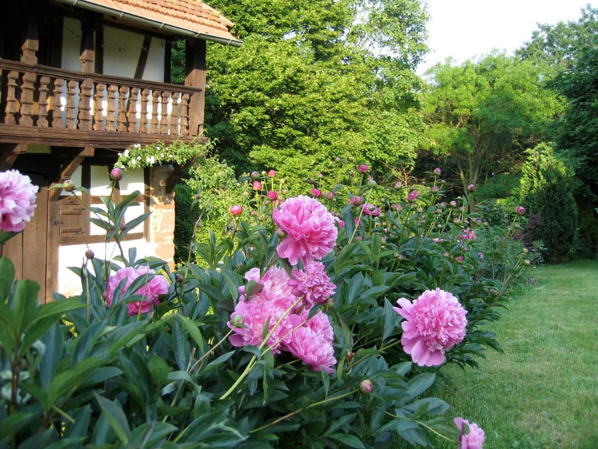 Le gîte des écureuils Schalkendorf Extérieur photo